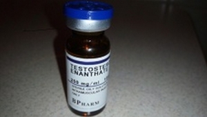 Bpharm Testosterone enantate himko