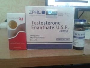 testosterone_Enantante_ZPHC_Peptids_test_p_bpharm_himko