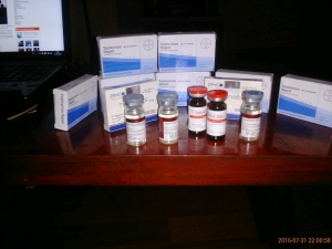 boldenon_sp_equipoise_trenbolon_e_bpharm_turinabol_zphc_testoviron_bayer