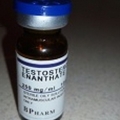 Bpharm Testosterone enantate himko